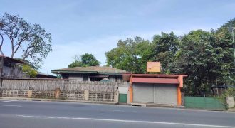 Foreclosed Residential Lot in Los Baños, Laguna