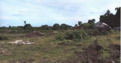 Foreclosed House and Lot in Davao City