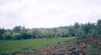 Foreclosed Agricultural Lot in Diffun, Quirino · Lot 1074-A (Philippine Veterans Bank)