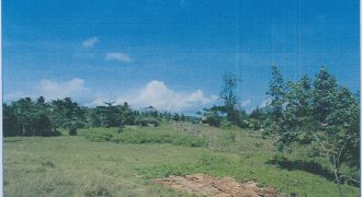 Foreclosed Residential Lot in Daraga, Albay