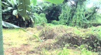 Foreclosed Residential Lot in San Antonio, Nueva Ecija (Philippine Veterans Bank)