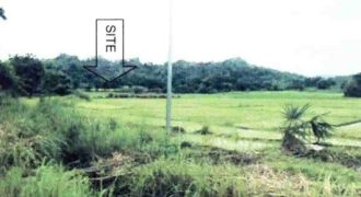 Foreclosed Agricultural Lot in Abra de Ilog, Occidental Mindoro (Philippine Veterans Bank)