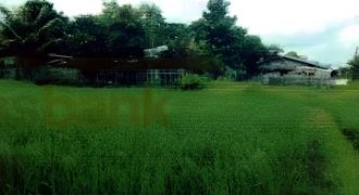 Foreclosed Residential Lot in San Jose, Occidental Mindoro