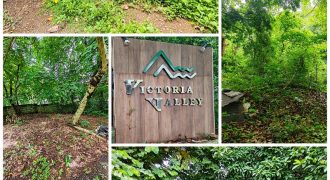 Foreclosed Residential Lot in Antipolo City
