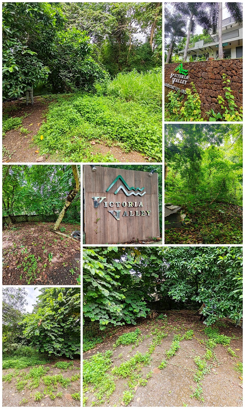 Foreclosed Residential Lot in Antipolo City