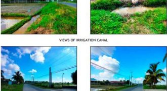 Foreclosed Residential Lot in Isabela (Asia United Bank)