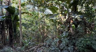 Foreclosed Residential Lot in Taytay, Rizal