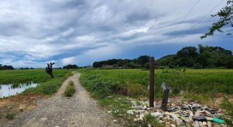 Foreclosed Farm Property in Santo Domingo, Nueva Ecija