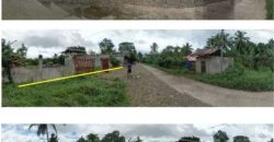 Foreclosed House and Lot in Leyte (Asia United Bank)
