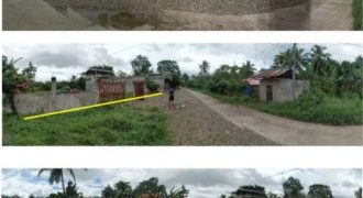 Foreclosed House and Lot in Leyte (Asia United Bank)