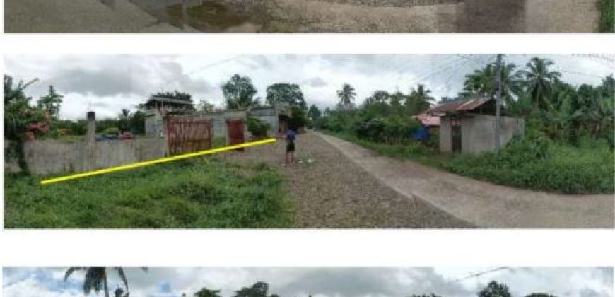 Foreclosed House and Lot in Leyte (Asia United Bank)
