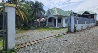 Foreclosed House and Lot in Bongabon, Nueva Ecija