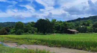 Foreclosed Agricultural Lot in Cabangan, Zambales (Metrobank)