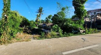Foreclosed Residential Lot in Santiago, Isabela – Reyes Street (Metrobank)