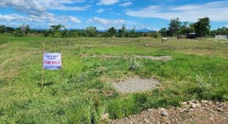 Foreclosed Agricultural Lot in San Isidro, Isabela