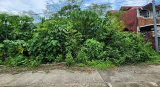 Foreclosed Residential Lot in City Of Cauayan City, Isabela – Subdivision Road · Lot No. 15 (Metrobank)