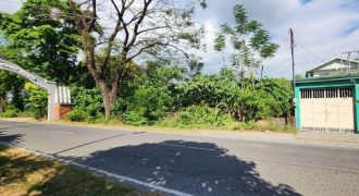 Foreclosed Residential Lot in San Manuel, Pangasinan