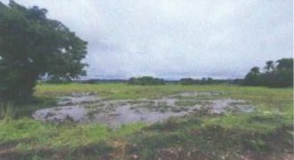 Foreclosed Agricultural Lot in Allacapan, Cagayan · Lot 639 (Philippine Veterans Bank)