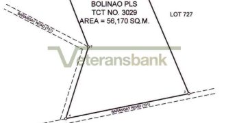Foreclosed Agricultural Lot in Bolinao, Pangasinan, Luzon #3