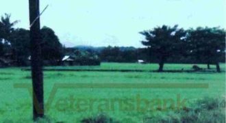 Foreclosed Agricultural Lot in Abra de Ilog, Occidental Mindoro · Lot 1099 (Philippine Veterans Bank)