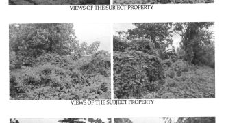 Foreclosed Agricultural Lot in Calinog, Iloilo · Lot 5549 (Philippine Veterans Bank)