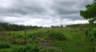 Foreclosed Residential Lot in Daraga (Locsin), Albay · Blk 4 (Philippine Veterans Bank) #6