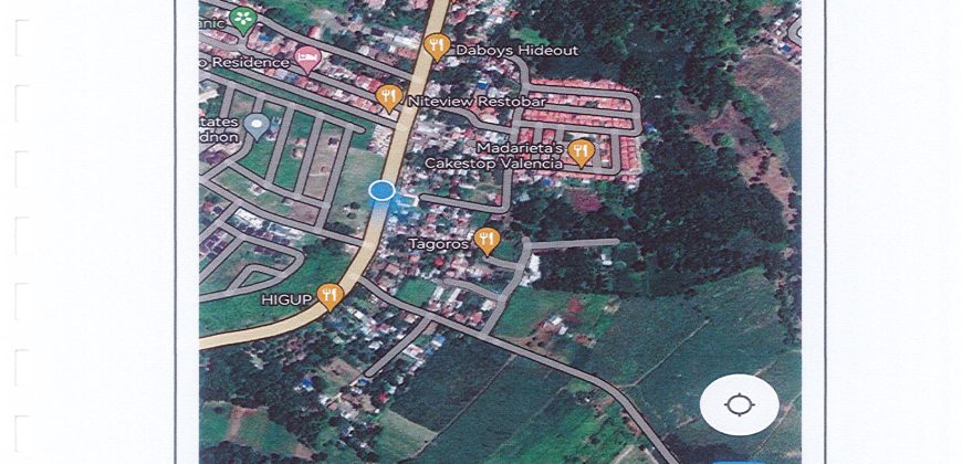 Foreclosed House and Lot in Valencia City