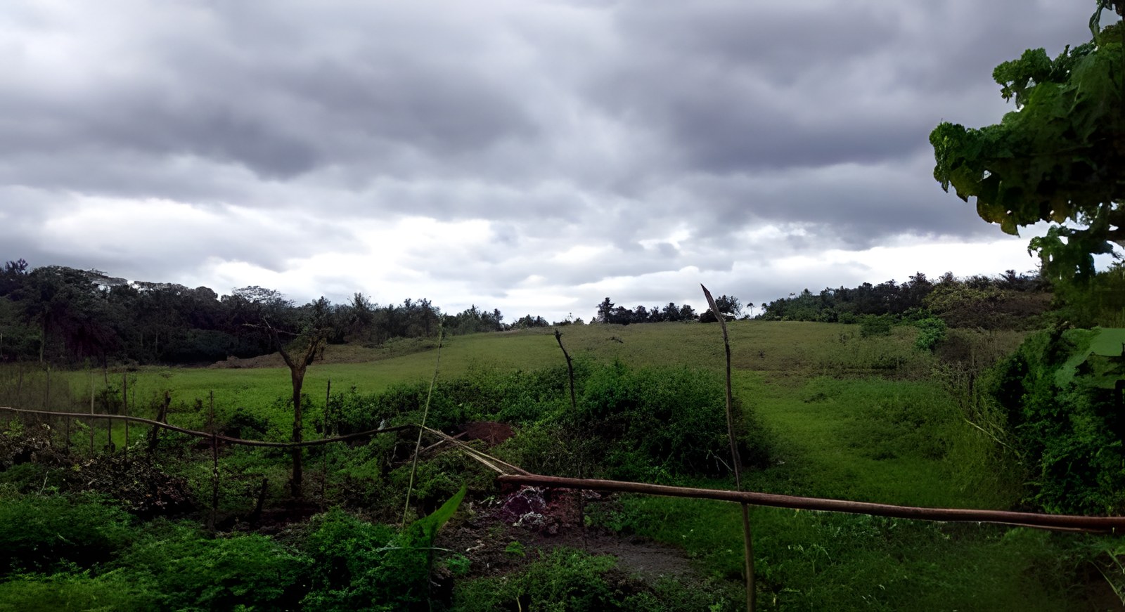Foreclosed Residential Lot in Daraga, Albay