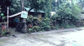 Foreclosed Residential Lot in Abra de Ilog, Occidental Mindoro · Lot 2291 (Philippine Veterans Bank)