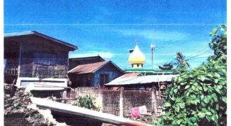 Foreclosed Residential Lot in Lapu-Lapu (Opon), Cebu (Philippine Veterans Bank)