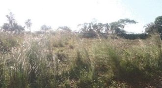 Foreclosed Residential Lot in Trece Martires City