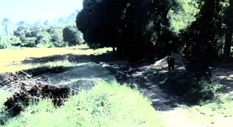 Foreclosed Agricultural Lot in Sablayan, Occidental Mindoro