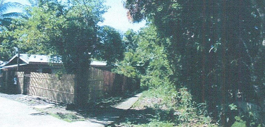 Foreclosed Residential Lot in Daraga, Albay