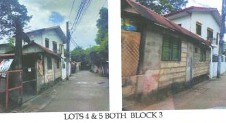 Foreclosed Residential Lot in Olongapo, Zambales · Lot 4 Block 3 (Philippine Veterans Bank)