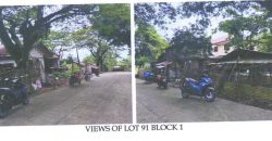 Foreclosed Residential Lot in Iloilo · Blk 1 (Philippine Veterans Bank) #6