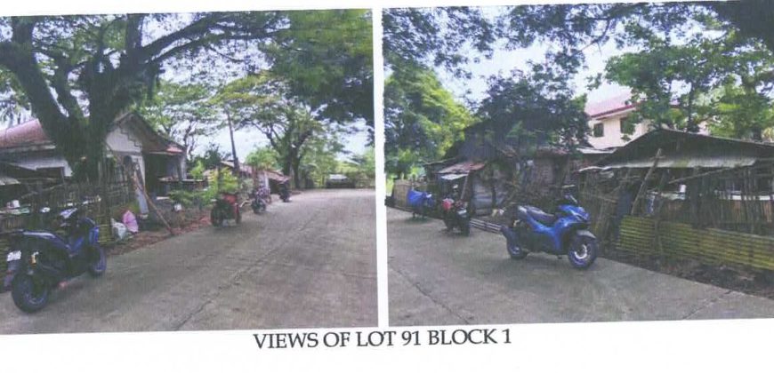Foreclosed Residential Lot in Iloilo · Blk 1 (Philippine Veterans Bank) #6