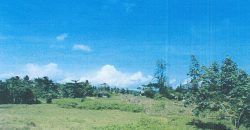 Foreclosed Residential Lot in Daraga (Locsin), Albay · Blk 13 (Philippine Veterans Bank) #8