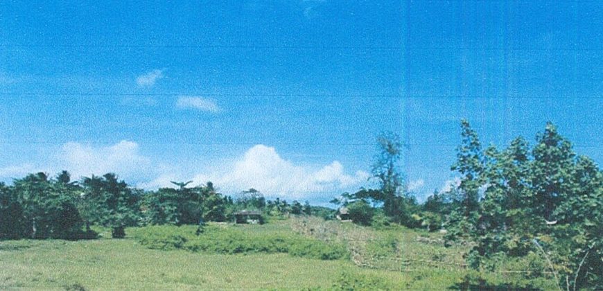 Foreclosed Residential Lot in Daraga (Locsin), Albay · Blk 13 (Philippine Veterans Bank) #8
