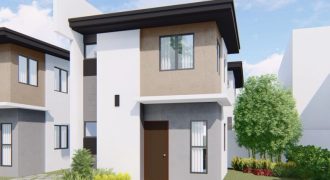 Amaia Scapes San Fernando