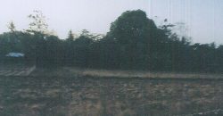 Foreclosed Residential Lot in San Jose, Occidental Mindoro