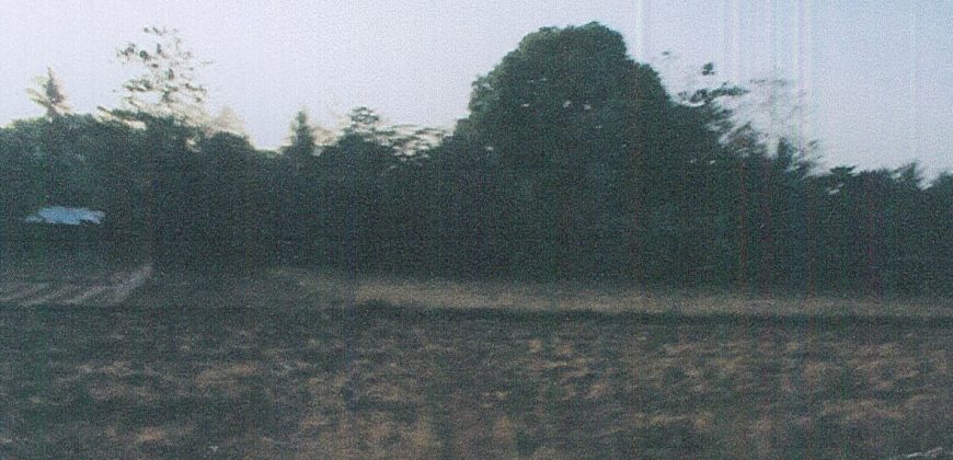 Foreclosed Residential Lot in San Jose, Occidental Mindoro