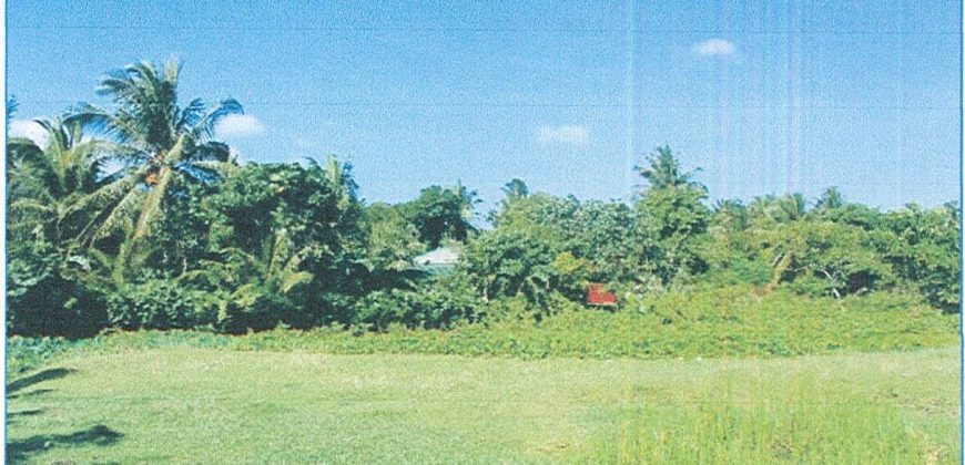 Foreclosed Residential Lot in Daraga (Locsin), Albay · Blk 2 (Philippine Veterans Bank) #5