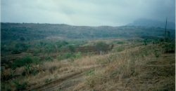 Foreclosed Agricultural Lot in San Miguel, Bulacan, Luzon