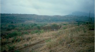 Foreclosed Agricultural Lot in San Miguel, Bulacan – L 2 Blk 7 Madlum Cave Road (Philippine Veterans Bank)