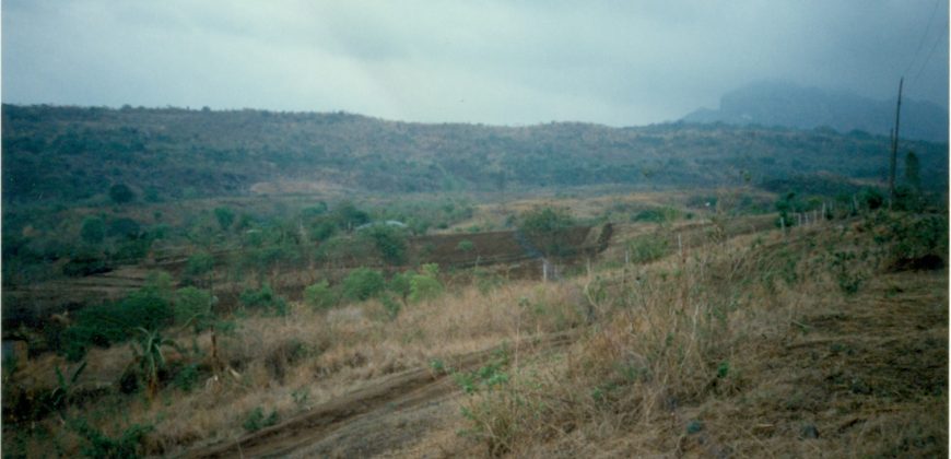 Foreclosed Agricultural Lot in San Miguel, Bulacan, Luzon