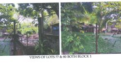 Foreclosed Residential Lot in Iloilo · Blk 1 (Philippine Veterans Bank) #4