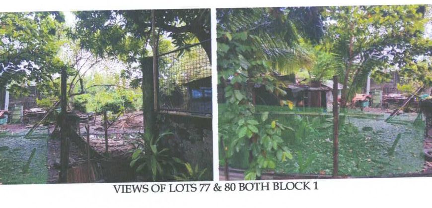 Foreclosed Residential Lot in Iloilo · Blk 1 (Philippine Veterans Bank) #4