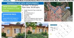 Foreclosed Residential Lot in Tarlac (Security Bank)