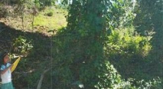 Foreclosed Residential Lot in Maddela, Quirino – L 621-D-2 Fontanilla Street (Philippine Veterans Bank)