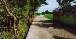 Foreclosed Residential Lot in San Miguel, Bulacan